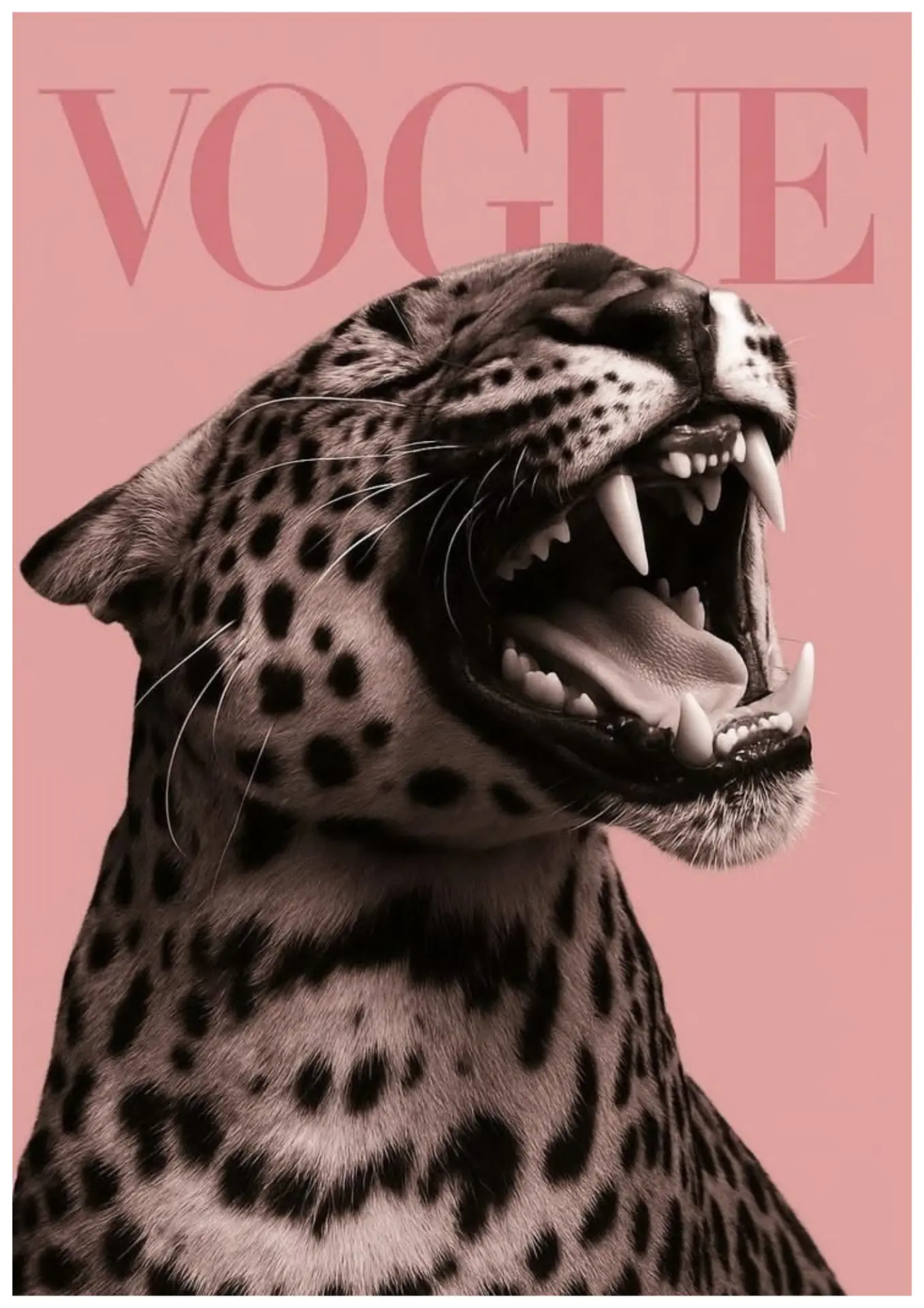 Vogue Leopard print